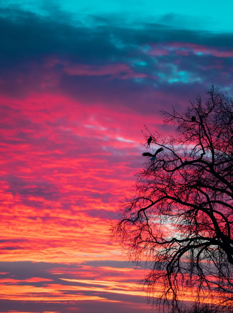 © Cory Dick Photography