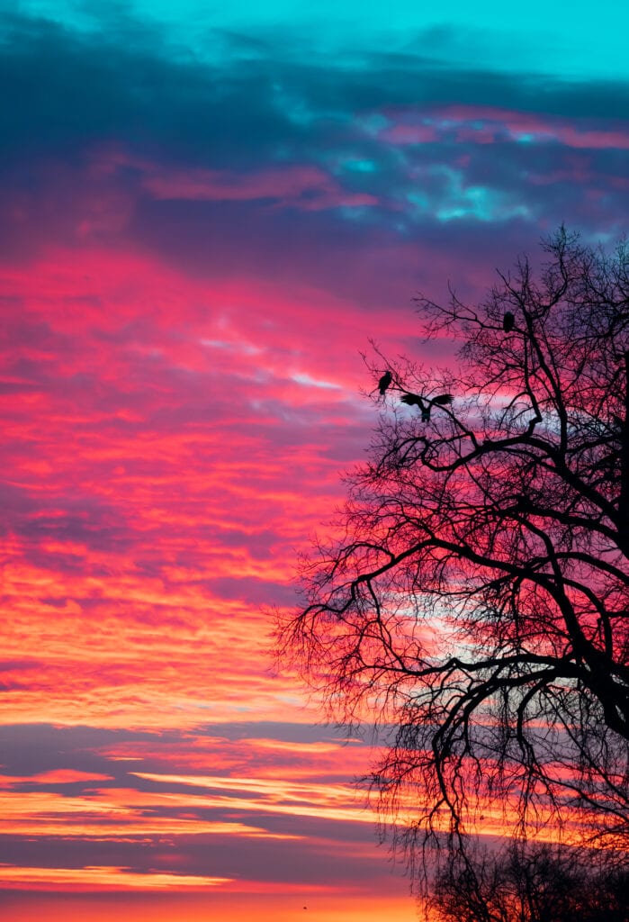 © Cory Dick Photography