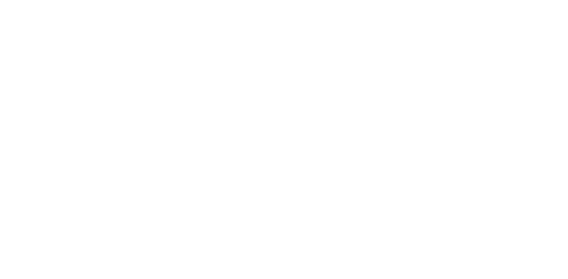 Schurhammer Real Estate Logo